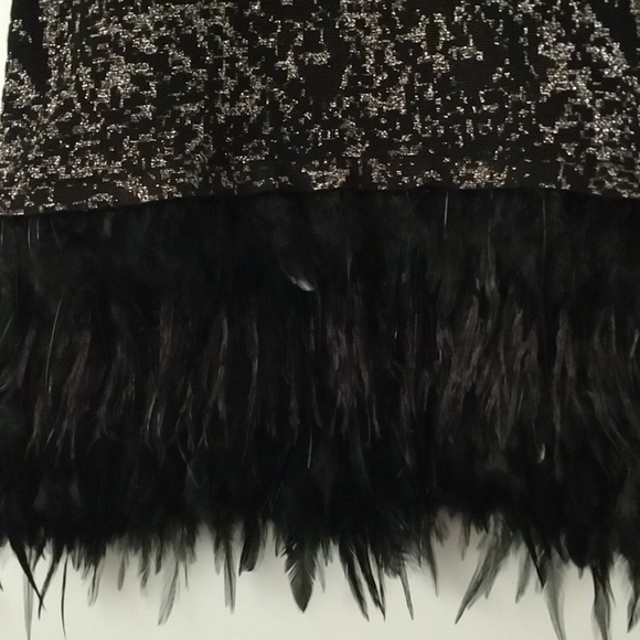 Feathered Dress - Picture 2 of 3